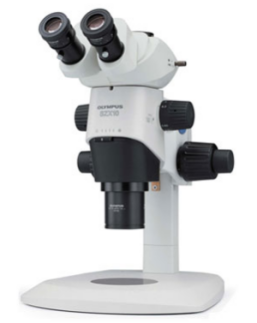 日本OLYMPUS 科研级体视显微镜