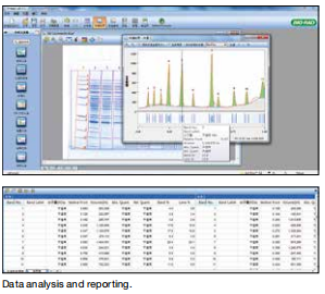 美国伯乐 凝胶/印迹分析软件   